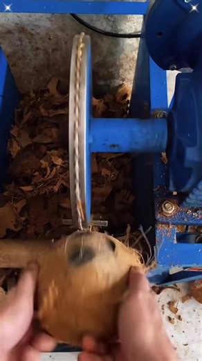 Hilarious Factory Mishaps & Funny Moments