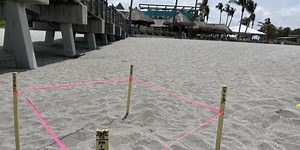 Beach lighting upgrades for turtle nesting season
