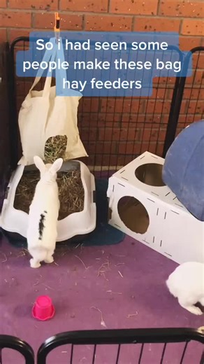 DIY Bunny Hay Feeder: Easy Homemade Cardboard House