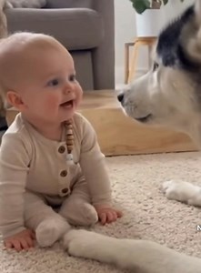 L’arte di comunicare ❤️ | Antonella Congiu