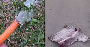 Geada, lagos e roupas congeladas: RS tem dia mais frio do ano