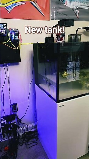 RedSea max nano G2 XXL #redsea #reeftank #aquarium #pets #coral