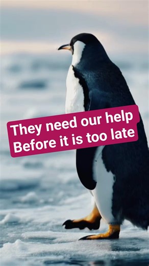 why animals are important to earth #wildlifeconservation