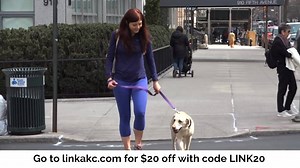 A day in the life of Ashley and her Labrador Retriever, Ella, using their LINK AKC Smart Collar in New York City. | Link My Pet