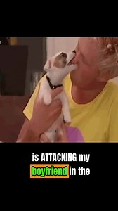 4.2K views · 37 reactions | We work with lots of aggressive dogs,...
