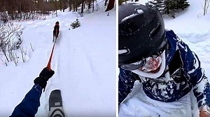 Lustige Videos: Unterhaltung, Fun und Virals | wetter.com