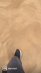 Desert Safari Adventure Common Inclusions: Dune Bashing in 4x4 Land...