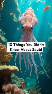 10 Things You Didn’t Know About Squid