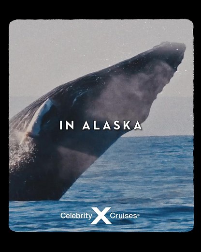 See Alaska like never before. | Celebrity Cruises
