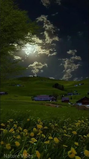 Quiet Night Landscape with Moonlight 🌙 | Peaceful Nature Vibes