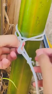 1.2K views | This knots use about cow and dogs you need make easy ❤️ #rope #knot #ropeknots #knotting | Pen Angkearity | Facebook