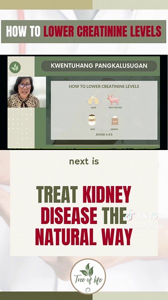 Understanding High Creatinine Levels: Kidney Health Tips