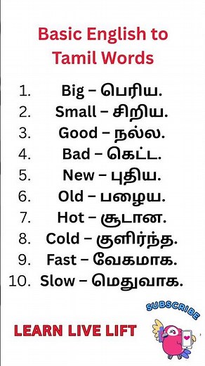 📘 Basic English to Tamil Words | Easy Daily Vocabulary for Beginners | Learn Live Lift