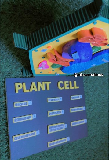 Create an Engaging Model of a Plant Cell