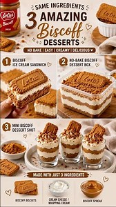 3 Biscoff Desserts with the Same Ingredients 🤎 | No-Bake Easy Dessert Recipes
