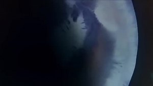 The Beast in Space 1980 🦴 censored version