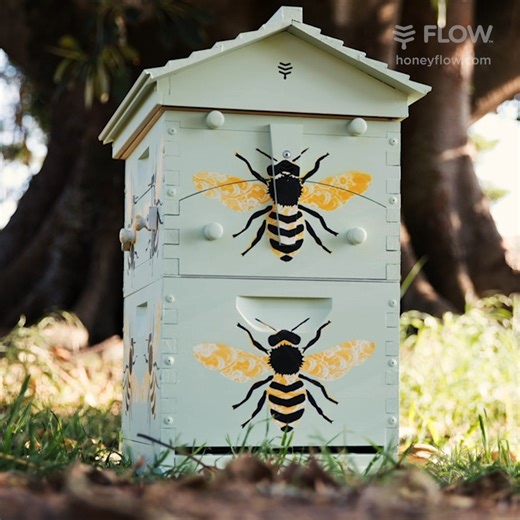 5.5K views · 169 reactions | Giving your Araucaria Flow Hive a custom paint job is a great opportunity for the whole family to get creative  Painting an Araucaria Flow Hive can be a great activity during the holiday season. You can make your hive as individual as you are! Here's some inspiration from a local artist. We'd love you to share pics of your painted Flow hives in the comments below  | Flow Hive | Facebook
