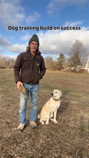 Peter Caine Dog Training on Instagram: "This is my client peach. Don’t over do it, one good retrieve is better than two good ones and ten bad ones build on success."