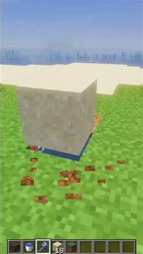 Java vs Bedrock: Secret Hidden Differences in Minecraft! #shorts #gaming #minecraft