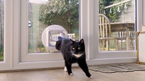Did you know that if your cat’s been microchipped, you can install an exclusive entry cat flap such as a SureFlap Microchip Cat Flap? These cat flaps read microchips and allow only approved cats in, to make sure neighbourhood cats don’t come in, upset your cats and tuck into their food! #NationalMicrochippingMonth | Cats Protection