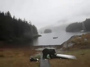 Meet Mary Maley, the woman behind the viral kayak bear video