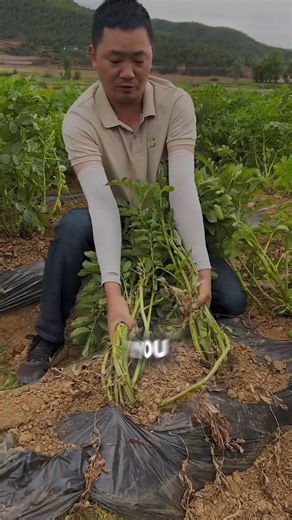 29K views · 1.7K reactions | Claim it ❤️ . . . . . The earliest...