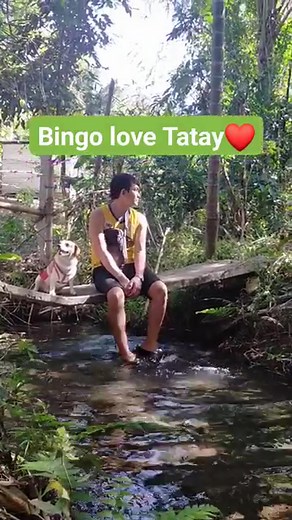 Bingo love Tatay #bingoandtatay #reelsviralシ #doglover | Bingo and Tatay