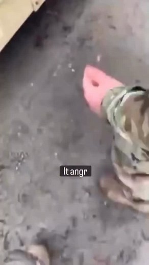 4.4K views · 107 reactions | When the Humvee won’t start and you summon the Motor Specialist (91B/L) to interpret the strange noises They speak a language only understood by those who live in the motor pool. 﫡 Tag your favorite 91-Series translator Follow for more Army content‼️ #MotorSpecialist #ArmyMaintenance #MotorPoolLife #91B #ArmyJokes #RecruiterHumor #army #armylife #militarylife #military | Henderson David | Facebook