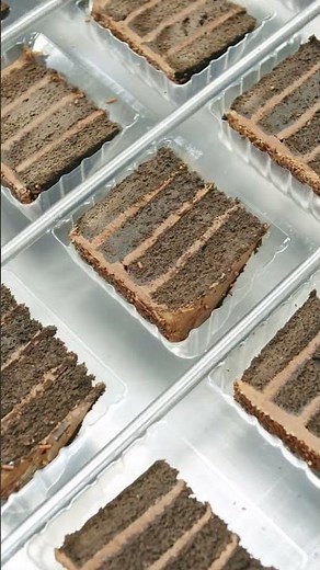 🍰 How Millions of Cakes Are Made in a Factory