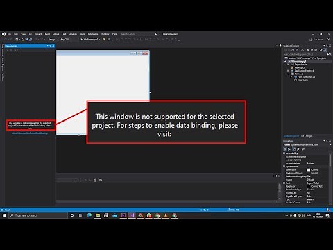 this window is not supported for the selected project visual studio #windows form vb.net