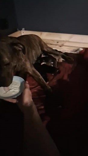 194K views · 6.4K reactions | Vikings Vikings on Reels | Facebook