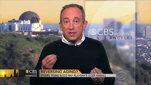Can young blood reverse aging?