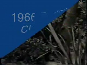 The Dodge Charger, the Dodge Rebellion 1966. #vintagecar #vintagetv | Top Secret Customs & Restorations