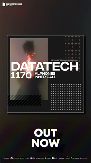 Alphones - Inner Call #techhouse #bigmamashouserecords #shorts