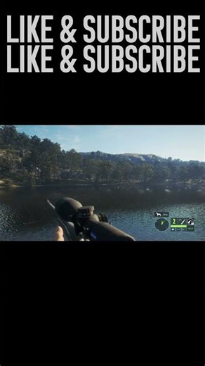 I Found the Mythical Red Deer