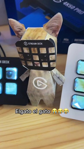 El Gato Meme Sound - Origins, Memes, and More!