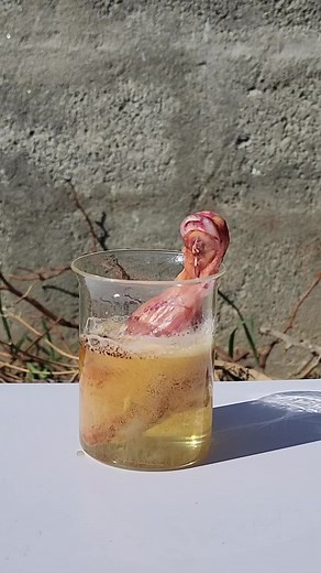 Exciting Chemistry Experiments You Shouldn't Try at Home