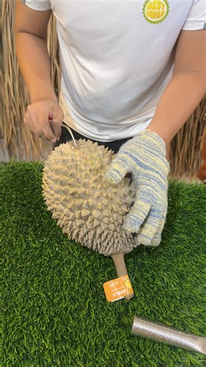 26K views · 229 reactions | Unboxing Malaysia old tree musang king #durian #musangking #猫山王 | Best Durian | Facebook