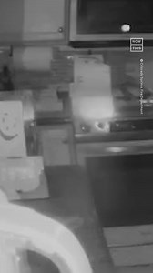 28K views · 166 reactions | curiosity (almost) killed the dog  A dog started a fire after accidentally turning on the stove in the middle of the night. The burner ignited a stack of boxes left on the stovetop, but luckily, the homeowner was able to put out the fire after receiving an alert. No dogs or humans were harmed. | NowThis | Facebook