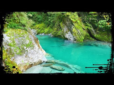 New Zealand DREAMWORLD! Blue Pools and Blue Valley Track 🇳🇿 Haast Pass, Mt. Aspiring National Park