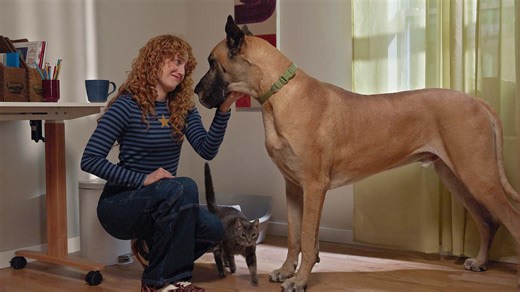 How To Keep Your Dog Out of the Litter Box | Chewy