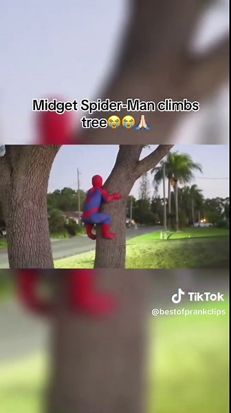 Midget Spider-Man Climbs Tree in Hilarious Moment