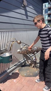 4.3K views · 533 reactions | Fish Fountain | Travis Stock | Facebook