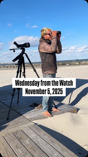 238 reactions · 12 comments | It’s Seabird Season! For this week’s...