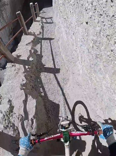 oi oi oi | larva oi oi oi