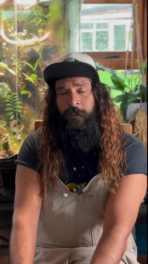 34K views · 1.6K reactions | It’s time for another terrarium update!...