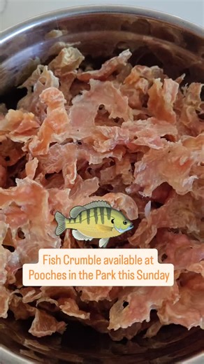 Splish Splash Dog Grooming on Reels