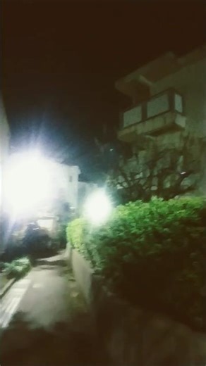 何気なく大通りの脇道に入ってみたら…Tokyo Culvert 暗渠。在りし日の水位このくらい。 #shorts #散歩 #walk #walking #travel #japantravel