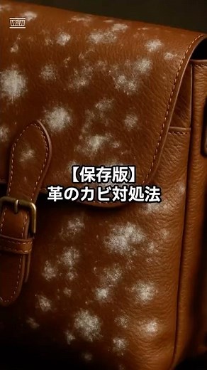 【保存版】革がカビた時の正しい対処法