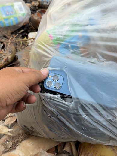 iPhone Thrown in Garbage